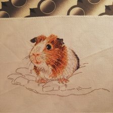 Работа «Хомячок»