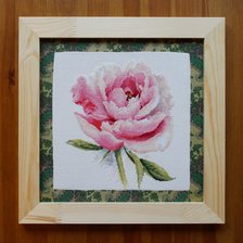 Работа «Нежный пион»