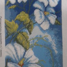 Работа «№97757»