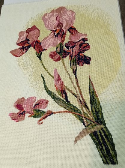 Работа «Ирисы»