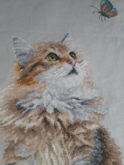 Работа «№97811»