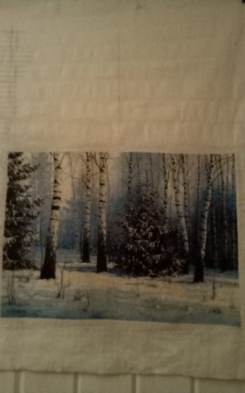 Работа «№98008»