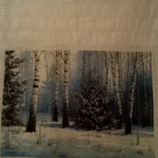 Работа «№98008»