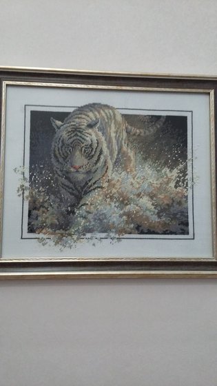 Работа «Этот тигр удивительный, он с любого ракурса смотрит тебе в глаза»