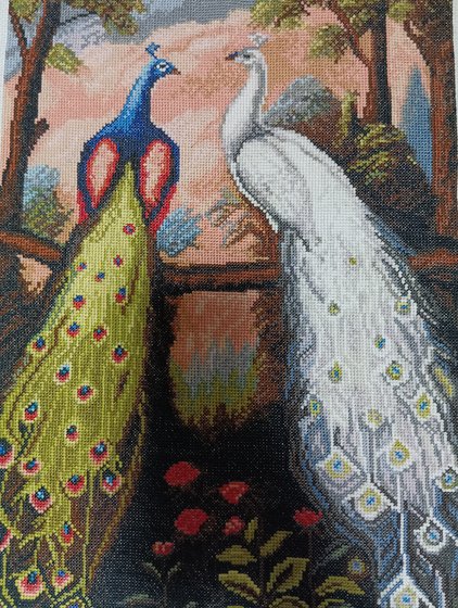 Работа «Два павлина на закате»