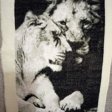 Работа «Пара»