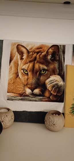 Работа «Пума»