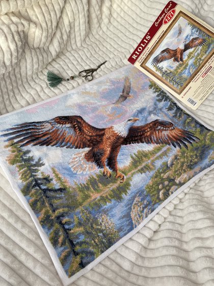 Работа «Свободный полёт, Риолис 1471»