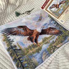 Работа «Свободный полёт, Риолис 1471»