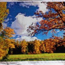 Работа «№98461»