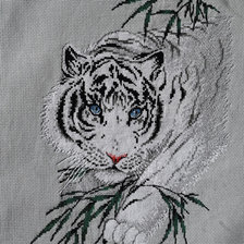 Работа «Белый тигр»