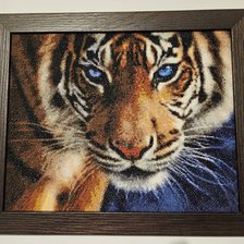 Работа «Тигр»