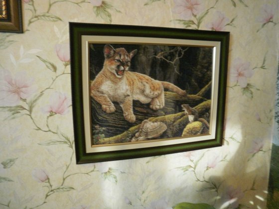 Работа «Дикая природа»