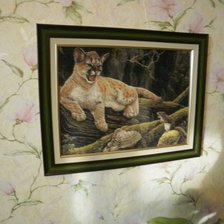 Работа «Дикая природа»