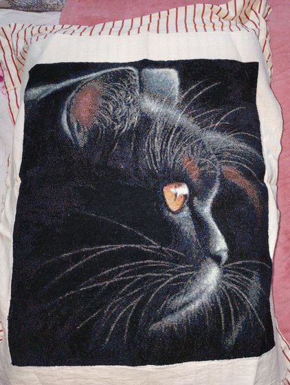 Работа «Первая часть котиков»