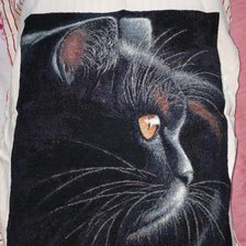 Работа «Первая часть котиков»