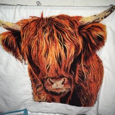 Работа «Шотландский бычок»