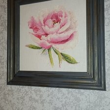 Работа «Пион. Алиса»