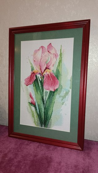 Работа «Ирис»