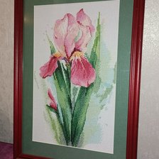 Работа «Ирис»