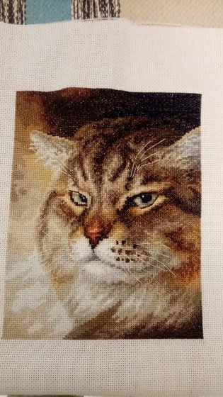 Работа «Кот»