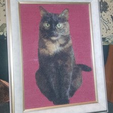 Работа «Дашуся»