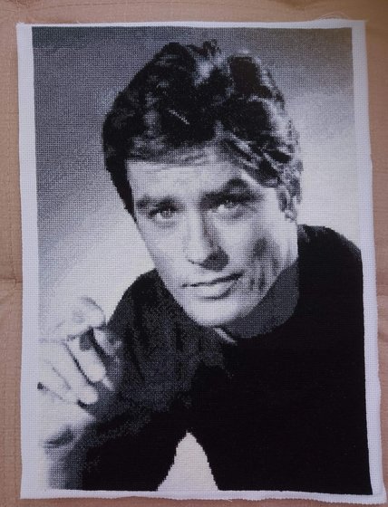 Работа «Ален Делон»