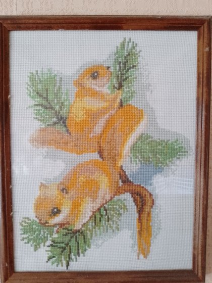 Работа «Белки»