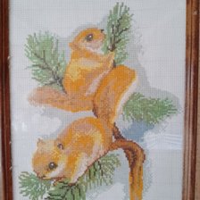 Работа «Белки»