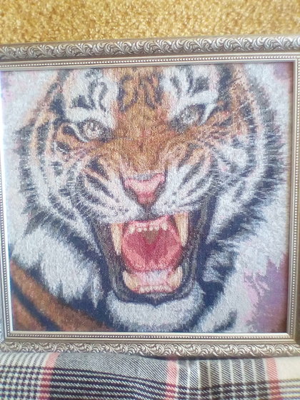 Работа «тигр»