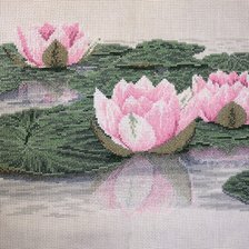 Работа «Отражение нежности»