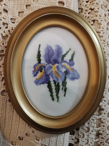 Работа «Ирис»