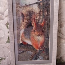 Работа «Белочка»