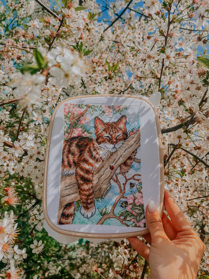 Работа «Сонный котенок»