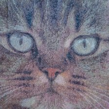 Работа «Портрет»