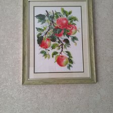 Работа «Яблоки»