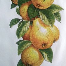 Работа «№99216»