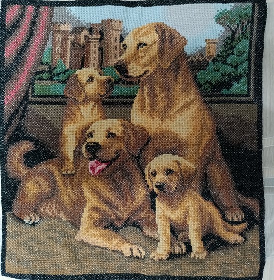 Работа «Лабрадоры»