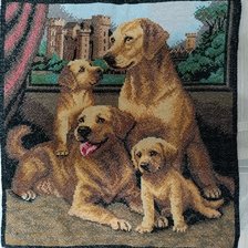 Работа «Лабрадоры»