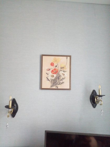 Работа «Маки»