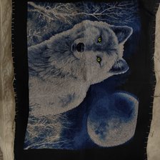 Работа «Луна»