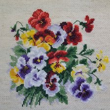 Работа «Анютины глазки ( Риолис)»