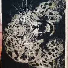 Работа «Cicabogar25»