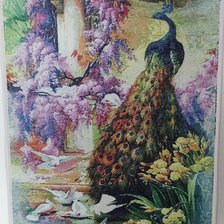 Работа «Павлин»