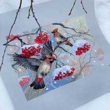 Работа «Прилетели свиристели, Риолис 2207»