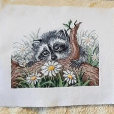 Работа «Енотик"»