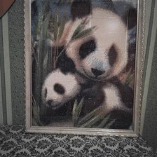 Работа «Панда с малышом.»