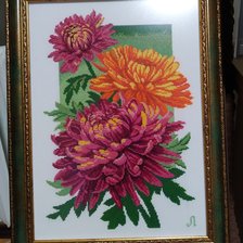Работа «Хризантемы»