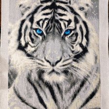 Работа «№100381»