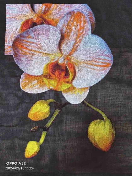 Работа «Orhidee»